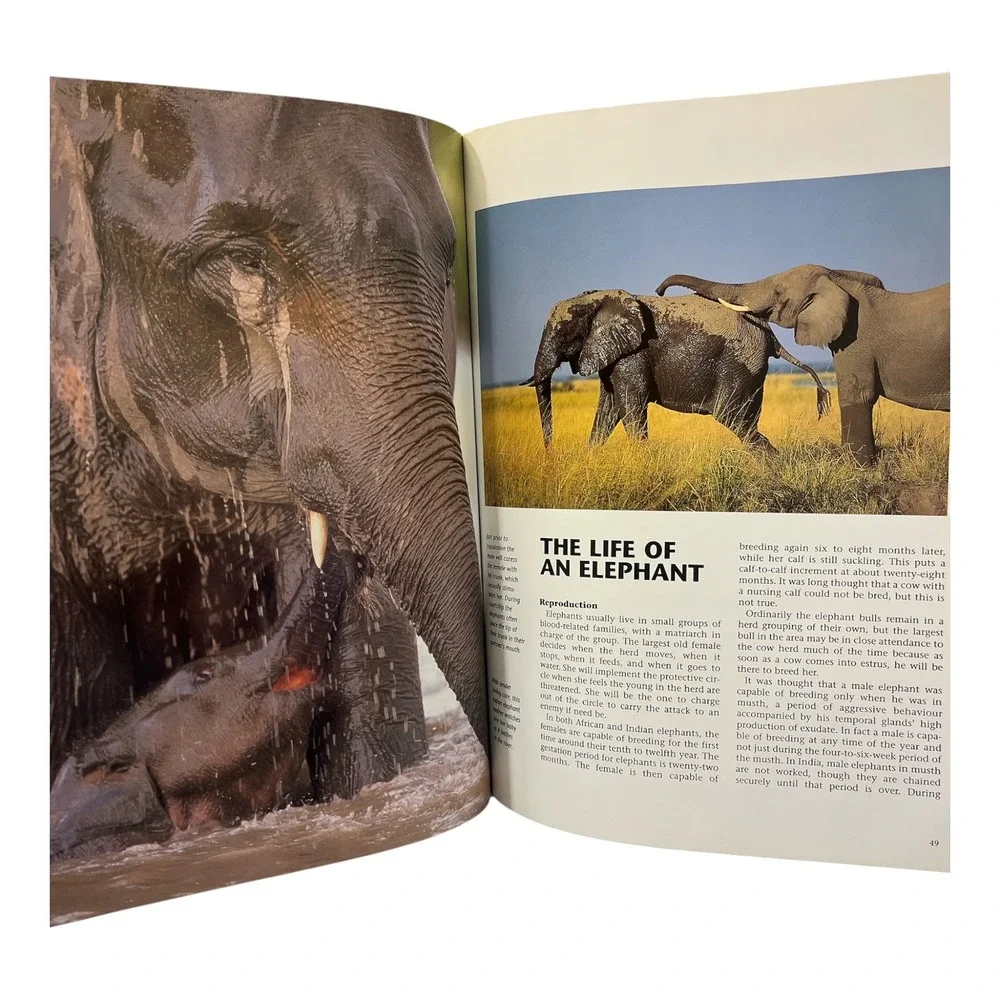 Elephants A Portrait of the Animal World Leonard Lee Rue III 1994 Coffeetable Bk